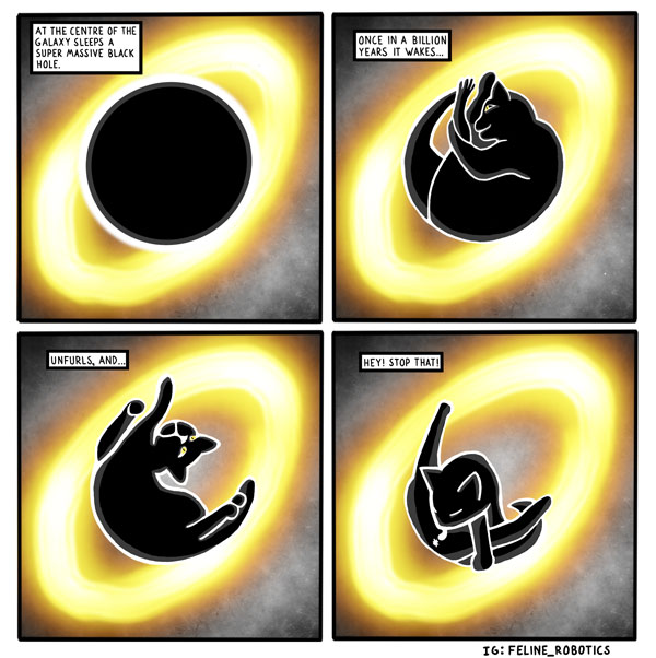 black hole cat comic