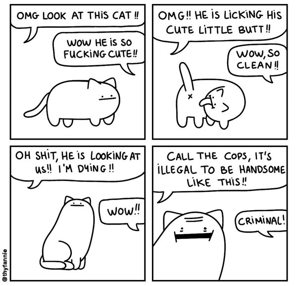 cat butt comic