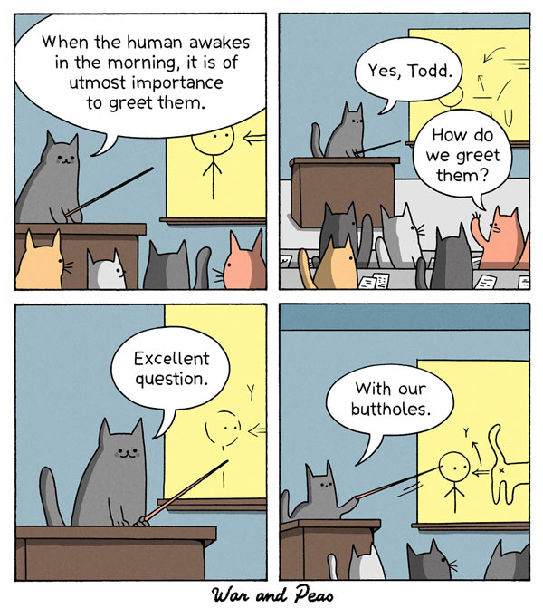 cat butthole comic