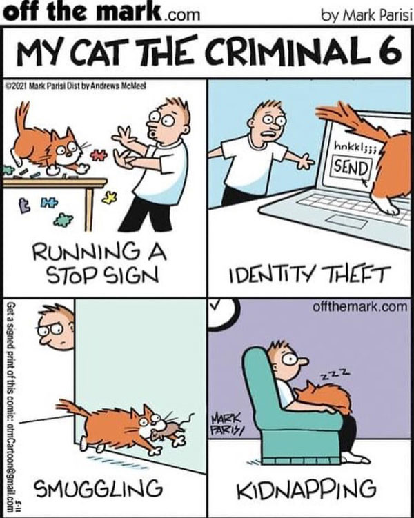 feline justice catcat criminals comic