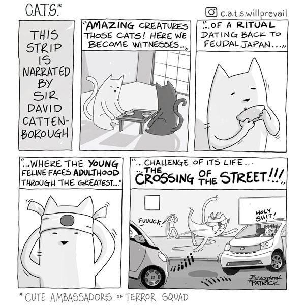 cat crossing street comic
