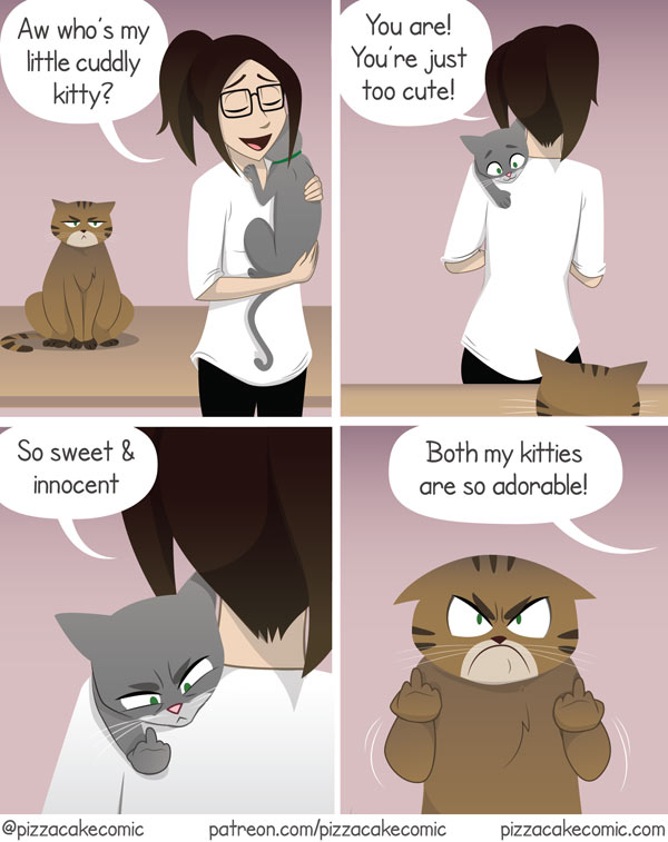 cat fight comic