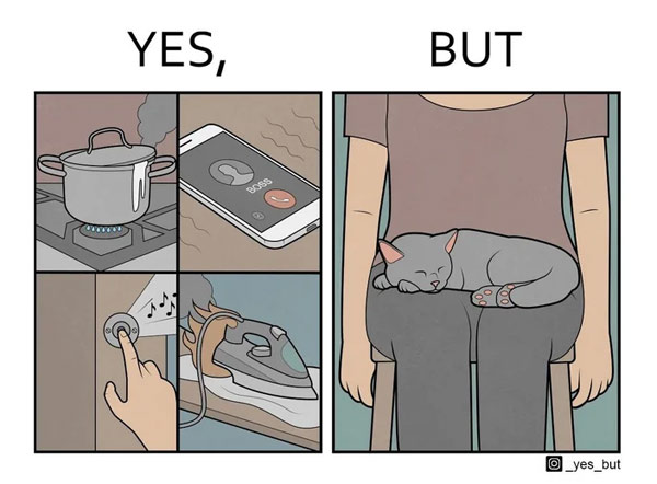 lap cat comic