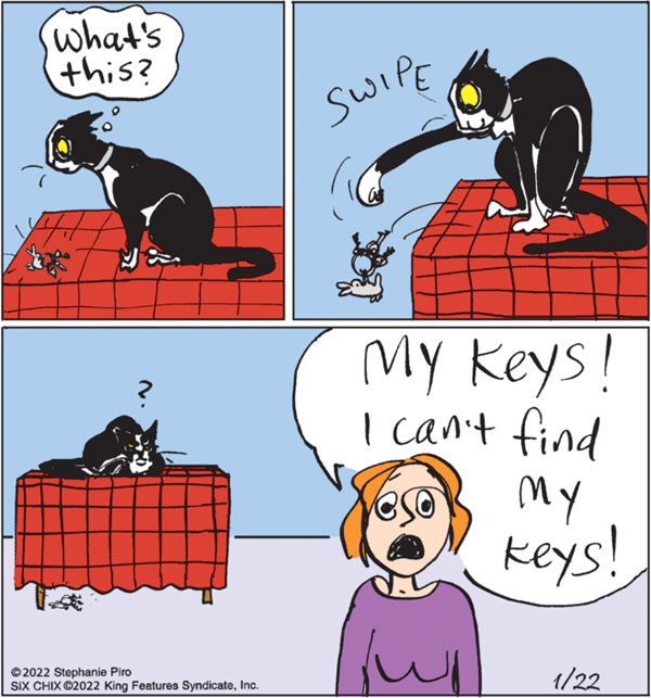 cat lost keys comic