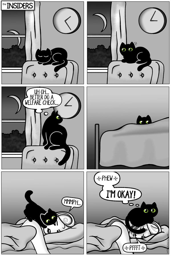 cat on face comic