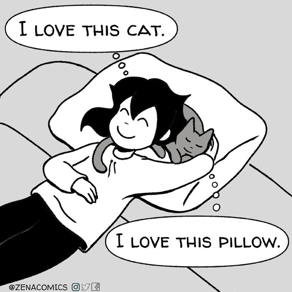 cat steal pillows comic