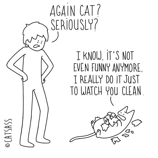 cat destroy paper comic