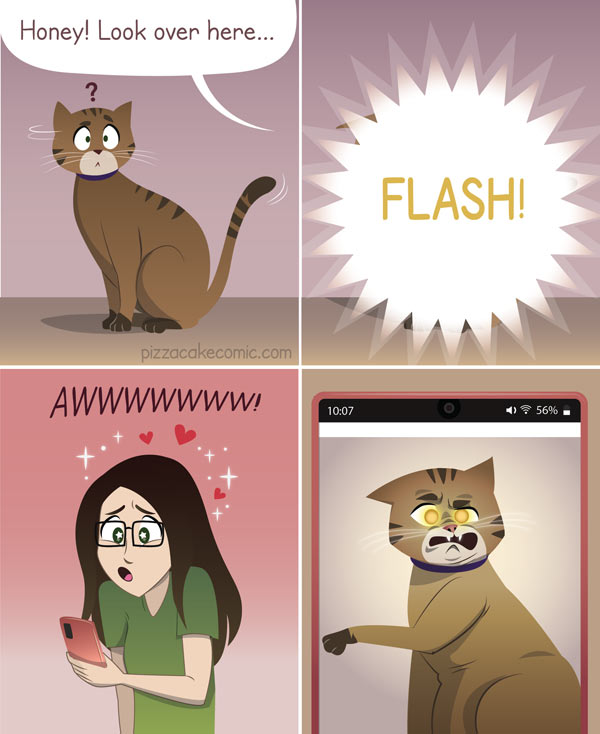 cat photo comic