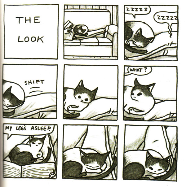 cat sleeps on leg comic