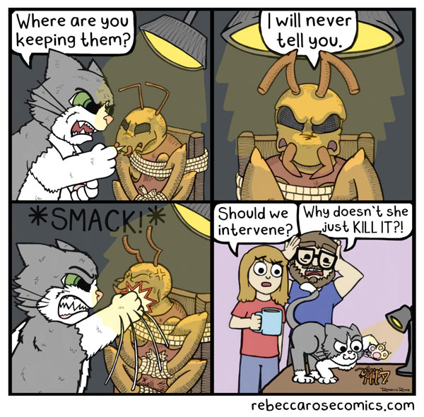 cat torture bug comic