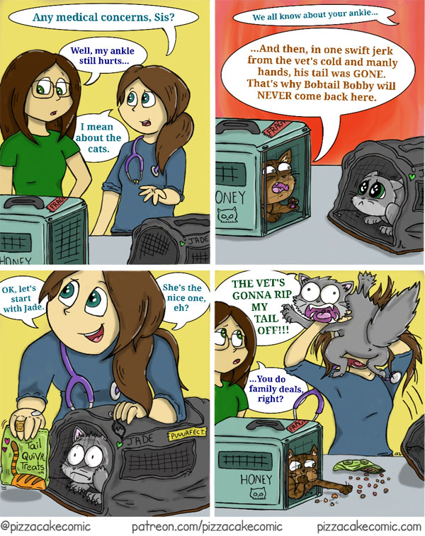 cat vet visit comic