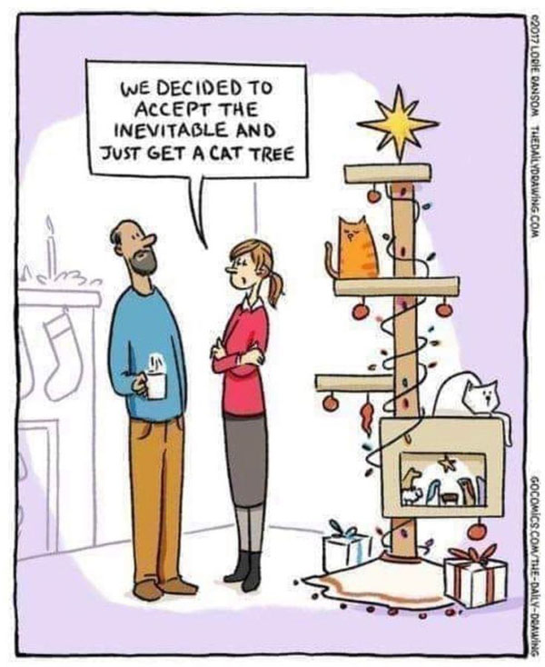 cat xmas tree comic