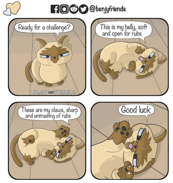 claws cat comic