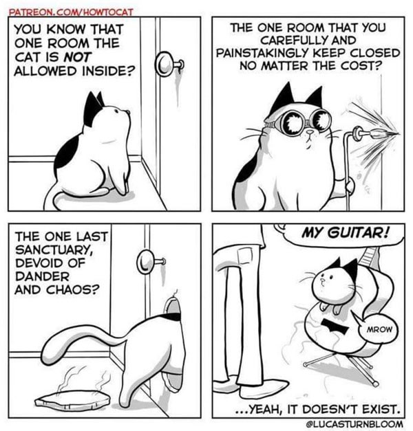 destructor cat comic