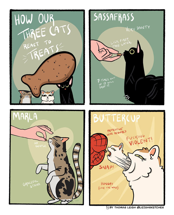 feeding the cat comic