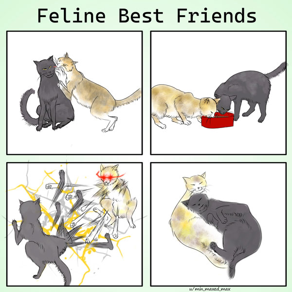 cat best friends comic