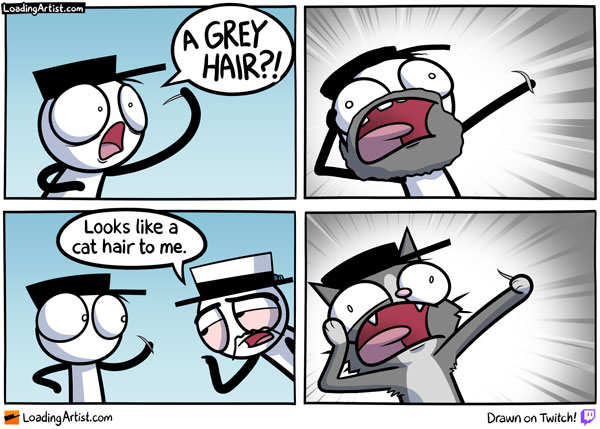 gray hair cat comic