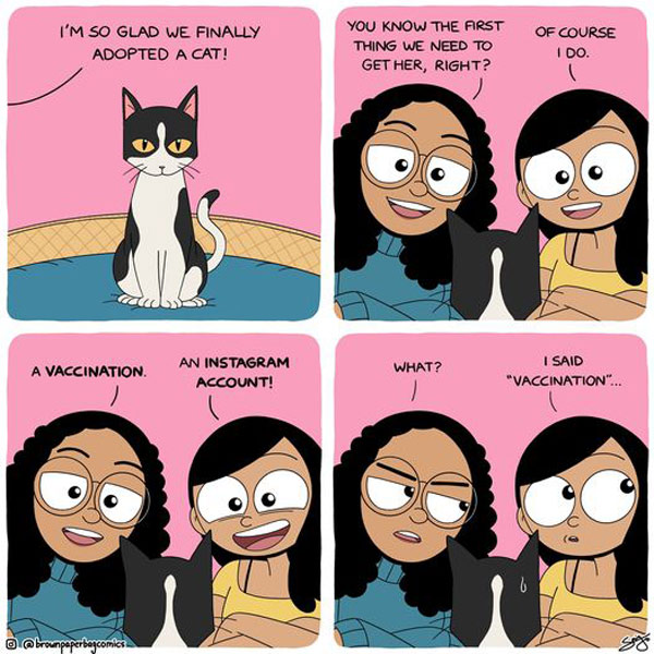 instagram cat comic