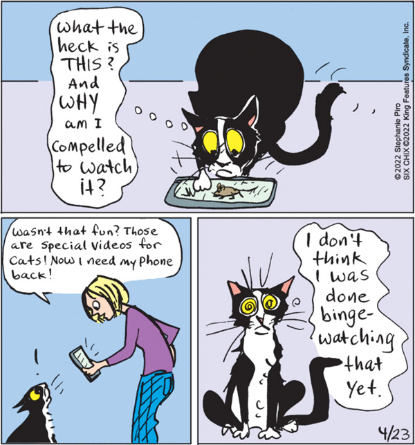 ipad cat comic comic