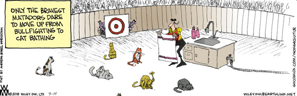 matador cat comic