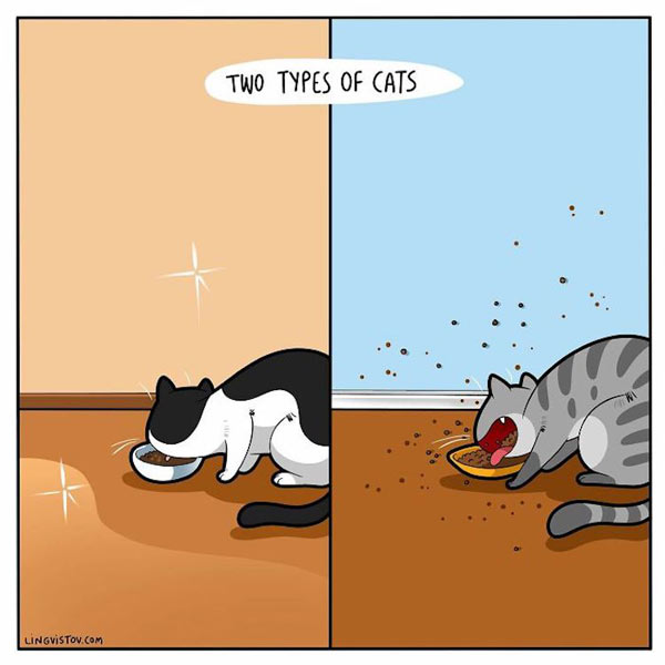 messy food cat comic