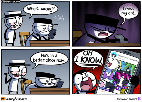 lost cat comic