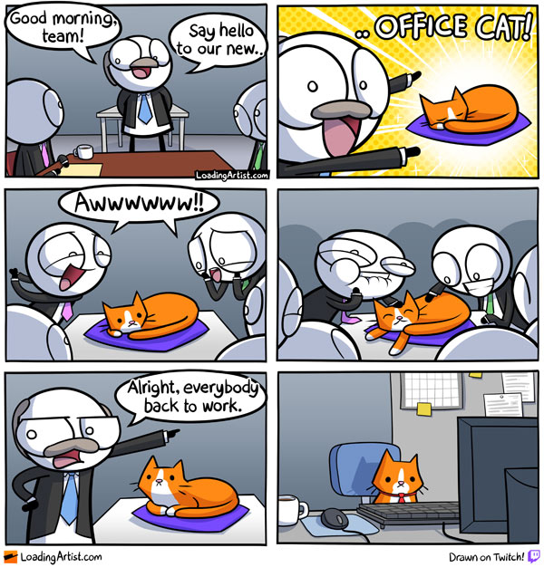 office cat comic