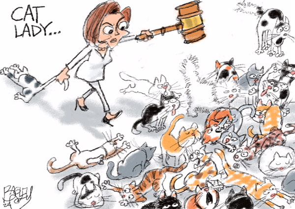 pelosi cat herder comic