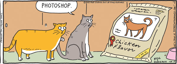 photoshopped cat  comic