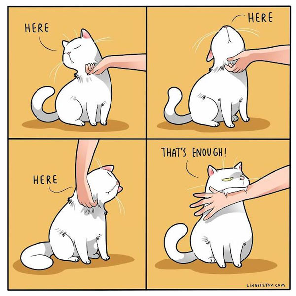 scratching the kitty comic