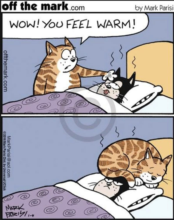 sick cat comic