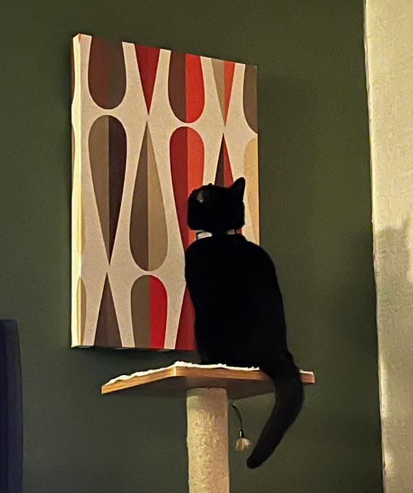 cat looks at painting