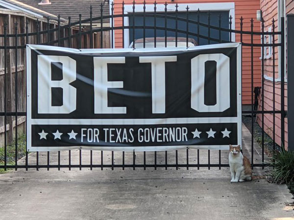 beto loving cat