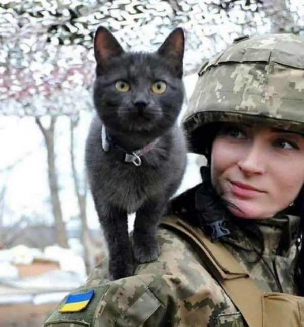 ukranian solider and cat