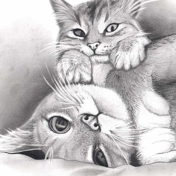 2 cats oencil art