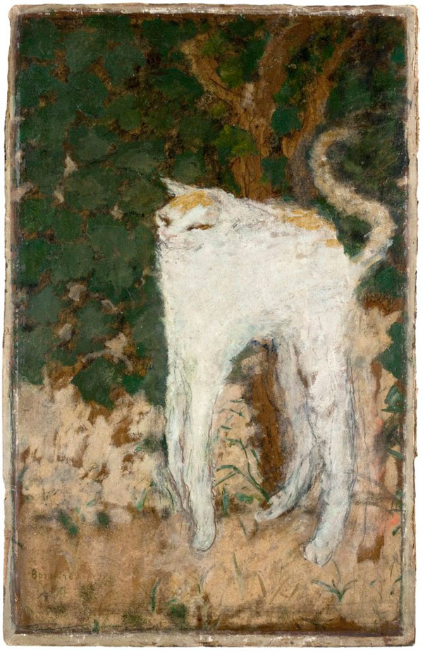 pierre bonnard cat art