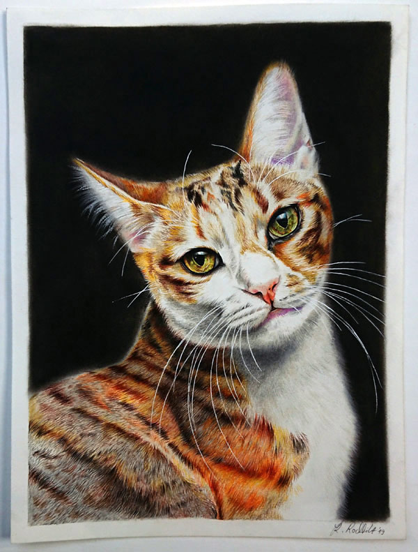 beautiful  cat art