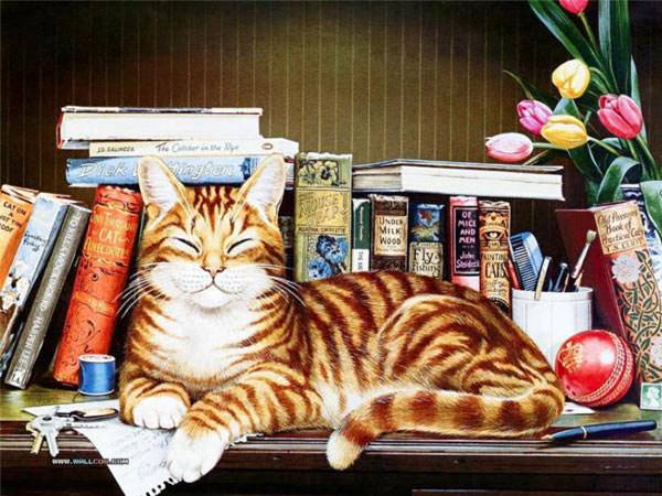 bookshelf cat  art