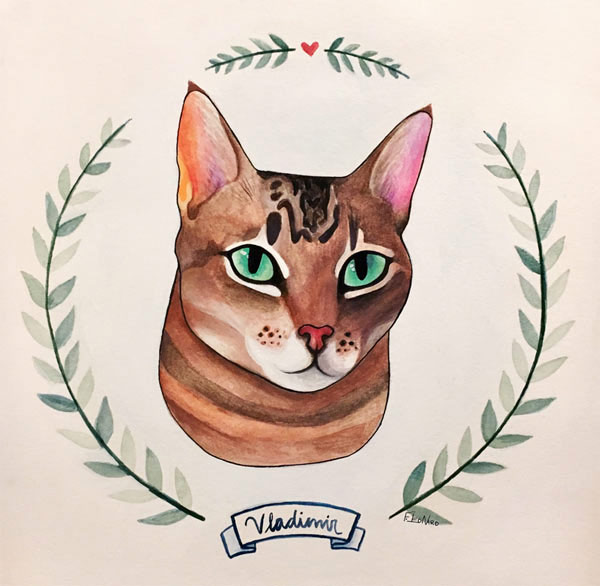 head protrait cat art