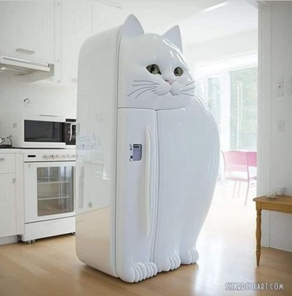 cat refrigerator