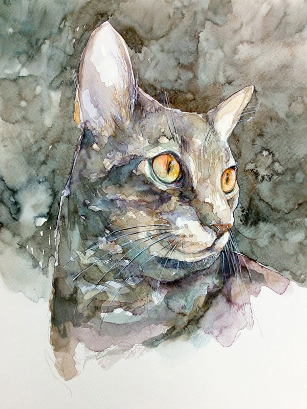 watercolor gray cat art