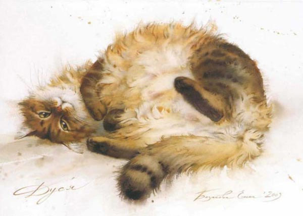 fuzzy cat belly art