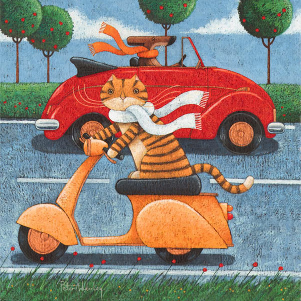 moped cat art