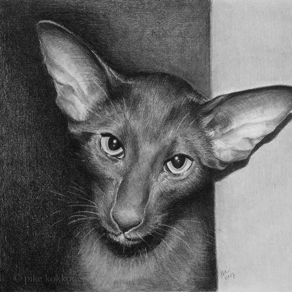 sphynx cat face art