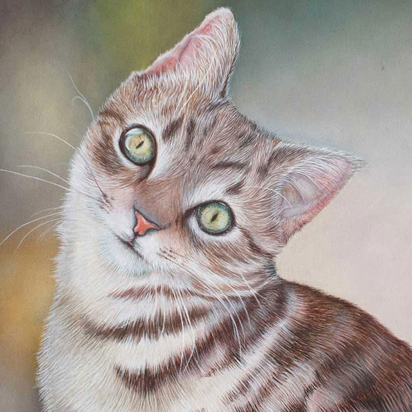 pink nosed cat art