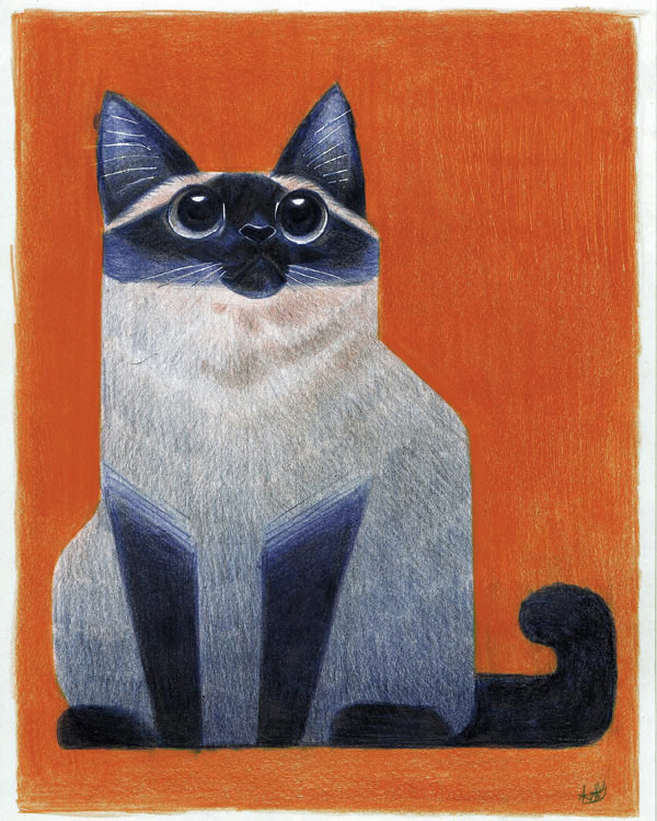 siamese cat art