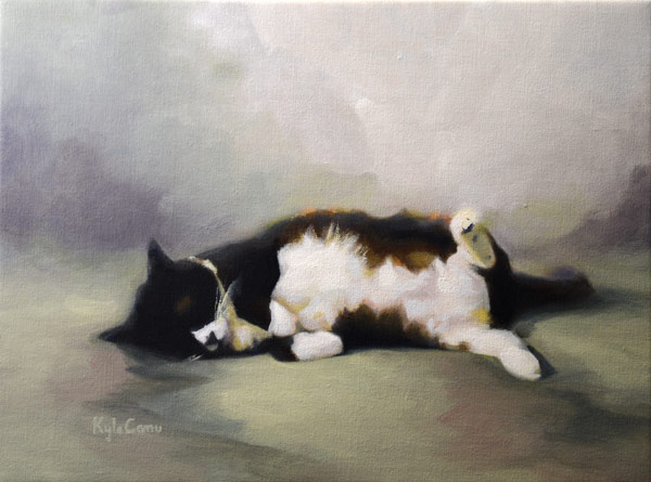 sleeping cat art