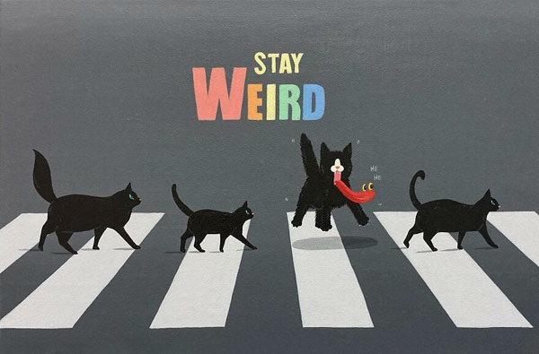 stay weord cat art