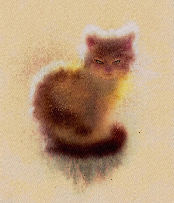 unfocused  cat art