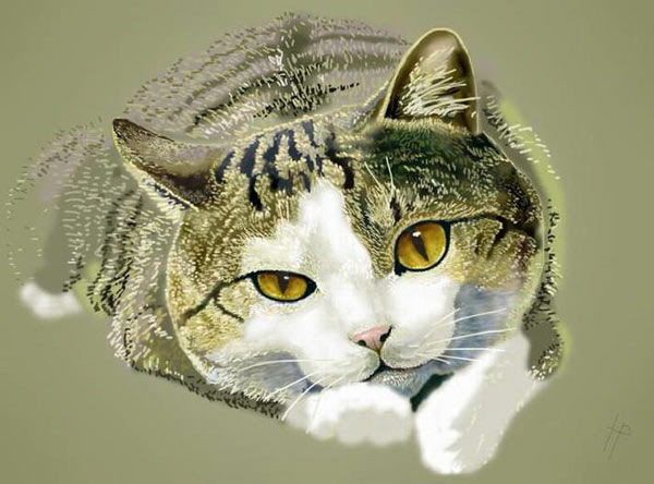 untitled cat art